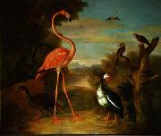 Jakob Bogdani, Flamingo and Other Birds in a Landscape